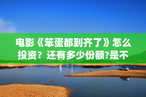 电影《笨蛋都到齐了》怎么投资？还有多少份额?是不是正规渠道?(《笨蛋》)