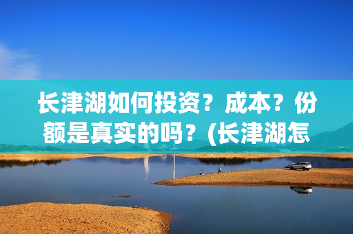 长津湖如何投资？成本？份额是真实的吗？(长津湖怎么参与投资)