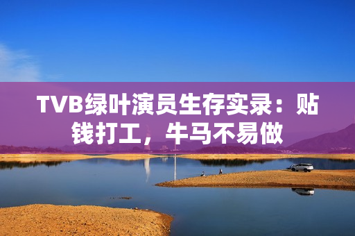 TVB绿叶演员生存实录：贴钱打工，牛马不易做
