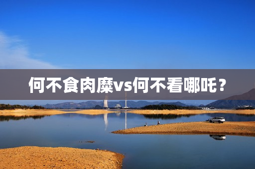 何不食肉糜vs何不看哪吒？