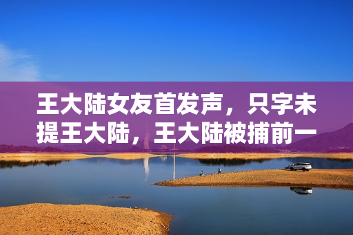 王大陆女友首发声，只字未提王大陆，王大陆被捕前一天两人曾约会