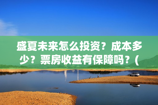 盛夏未来怎么投资？成本多少？票房收益有保障吗？(盛夏未来哪个平台)
