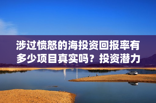 涉过愤怒的海投资回报率有多少项目真实吗？投资潜力高吗？(涉过愤怒的海没过审)