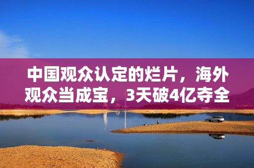 中国观众认定的烂片，海外观众当成宝，3天破4亿夺全球票房冠军