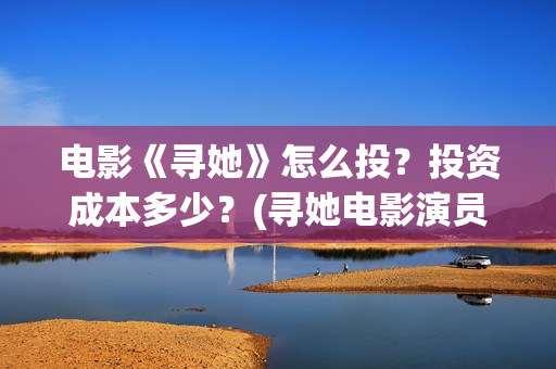 电影《寻她》怎么投？投资成本多少？(寻她电影演员表)