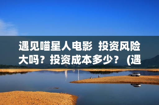 遇见喵星人电影  投资风险大吗？投资成本多少？ (遇见喵星人电影投资是真的吗)