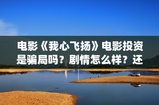 电影《我心飞扬》电影投资是骗局吗？剧情怎么样？还有份额吗？(电影我心飞扬原型)