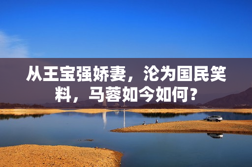 从王宝强娇妻，沦为国民笑料，马蓉如今如何？