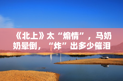 《北上》太“煽情”，马奶奶晕倒，“炸”出多少催泪的高光瞬间？