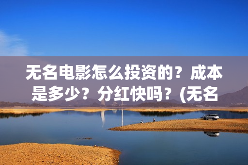 无名电影怎么投资的？成本是多少？分红快吗？(无名电影演员表)