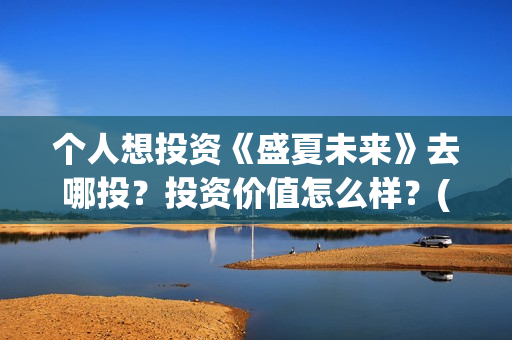 个人想投资《盛夏未来》去哪投？投资价值怎么样？(个人投资做什么好)