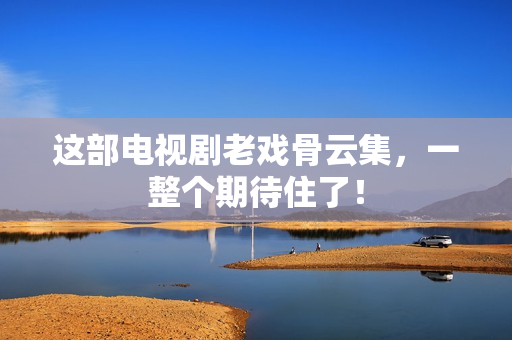 这部电视剧老戏骨云集，一整个期待住了！