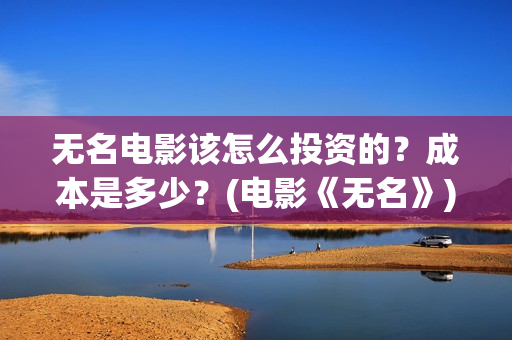 无名电影该怎么投资的？成本是多少？(电影《无名》)
