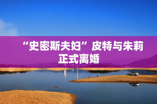 “史密斯夫妇”皮特与朱莉正式离婚