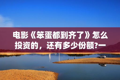电影《笨蛋都到齐了》怎么投资的，还有多少份额?一个份额多少钱?(笨蛋1+1)