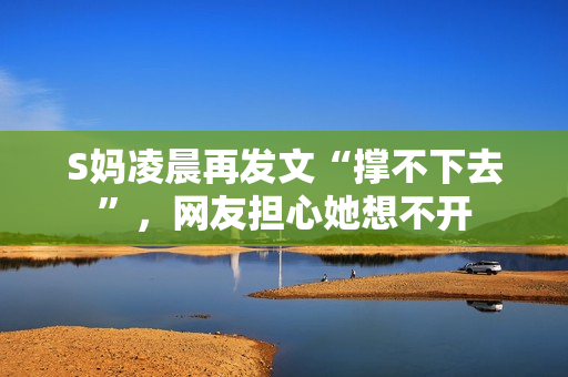 S妈凌晨再发文“撑不下去”，网友担心她想不开