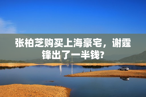 张柏芝购买上海豪宅，谢霆锋出了一半钱?