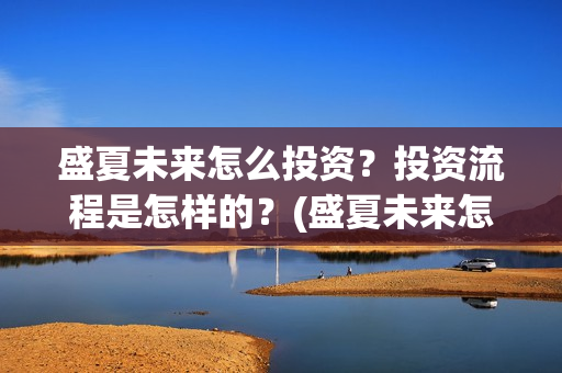 盛夏未来怎么投资？投资流程是怎样的？(盛夏未来怎么投资)