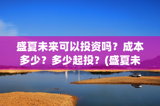 盛夏未来可以投资吗？成本多少？多少起投？(盛夏未来会不会看哭)