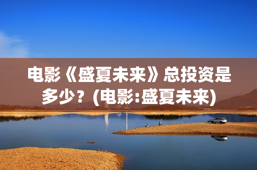 电影《盛夏未来》总投资是多少？(电影:盛夏未来)