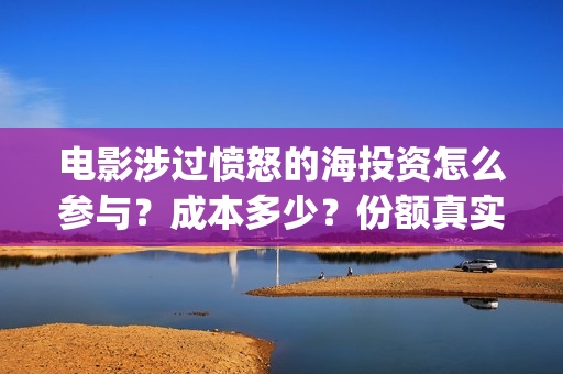 电影涉过愤怒的海投资怎么参与？成本多少？份额真实有效吗？(电影涉过愤怒的海演员表)