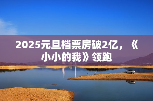 2025元旦档票房破2亿，《小小的我》领跑