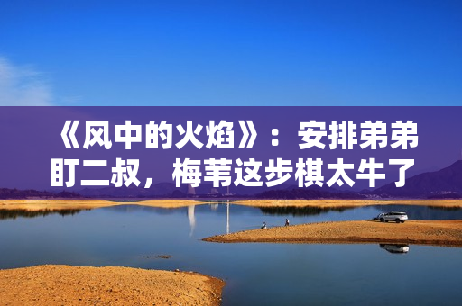 《风中的火焰》：安排弟弟盯二叔，梅苇这步棋太牛了！