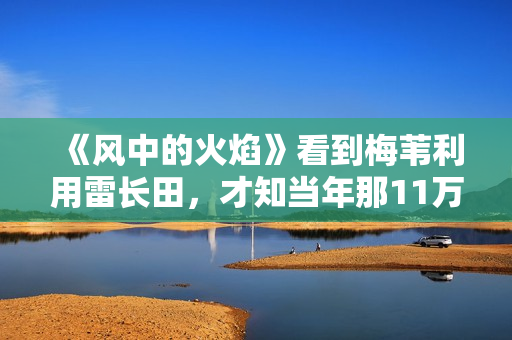 《风中的火焰》看到梅苇利用雷长田，才知当年那11万到底被谁拿走