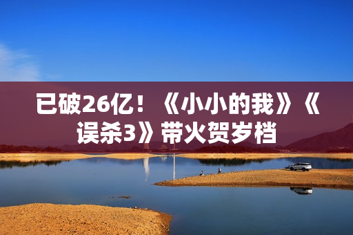 已破26亿！《小小的我》《误杀3》带火贺岁档