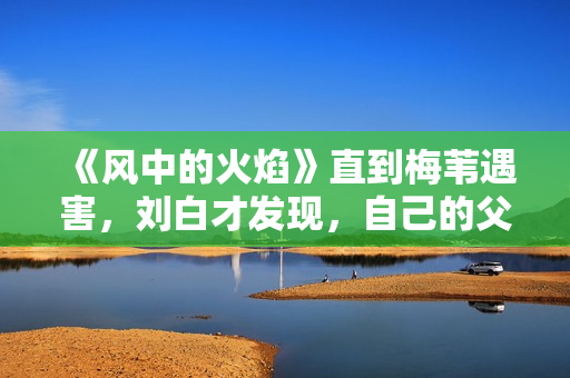 《风中的火焰》直到梅苇遇害，刘白才发现，自己的父亲还活着