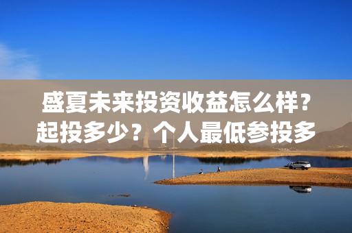 盛夏未来投资收益怎么样？起投多少？个人最低参投多少？(盛夏未来总投资)
