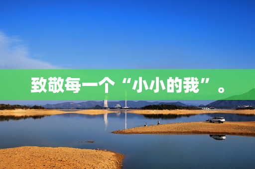 致敬每一个“小小的我”。