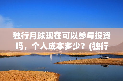 独行月球现在可以参与投资吗，个人成本多少？(独行月球结局什么意思)