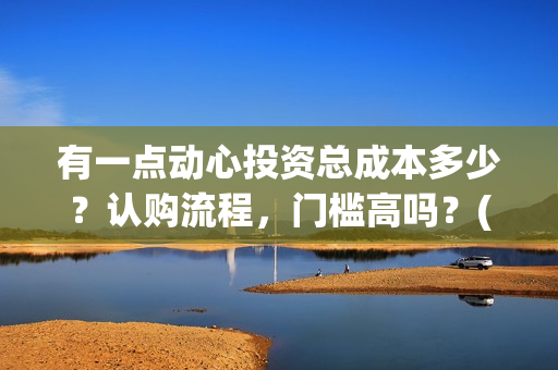 有一点动心投资总成本多少？认购流程，门槛高吗？(有一点动心出品方)