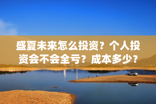 盛夏未来怎么投资？个人投资会不会全亏？成本多少？(盛夏未来录屏)