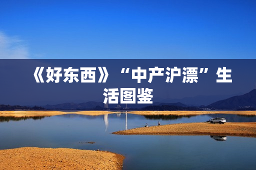 《好东西》“中产沪漂”生活图鉴