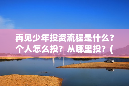 再见少年投资流程是什么？个人怎么投？从哪里投？(再见少年怎么样)