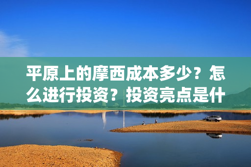 平原上的摩西成本多少？怎么进行投资？投资亮点是什么？(平原上的摩西 业内)