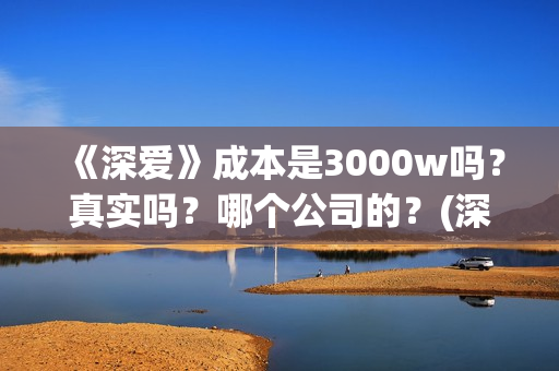 《深爱》成本是3000w吗？真实吗？哪个公司的？(深爱编剧)