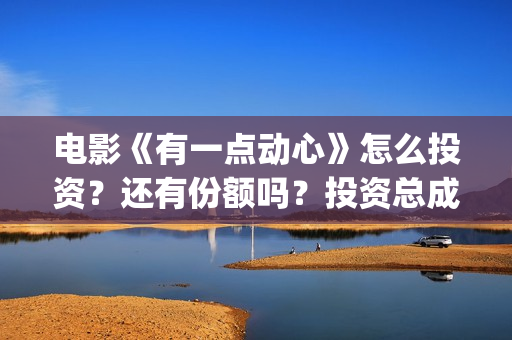 电影《有一点动心》怎么投资？还有份额吗？投资总成本多少？(电影有一点动心简介)
