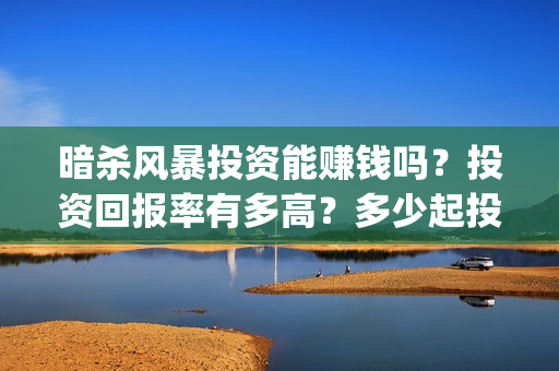 暗杀风暴投资能赚钱吗？投资回报率有多高？多少起投(暗杀风暴百科)