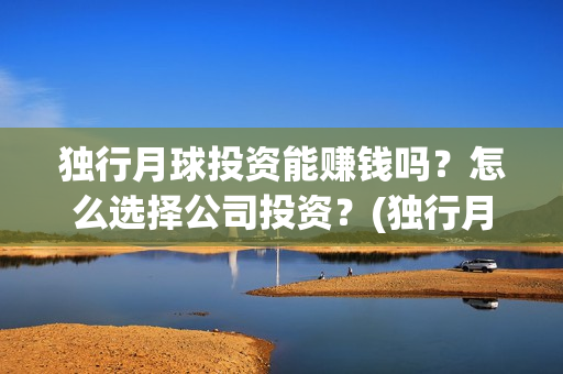 独行月球投资能赚钱吗？怎么选择公司投资？(独行月球投资方)