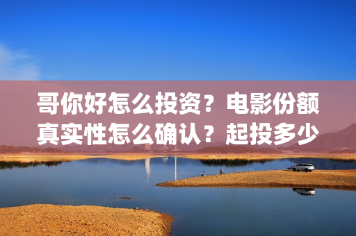 哥你好怎么投资？电影份额真实性怎么确认？起投多少？(你好哥哥)