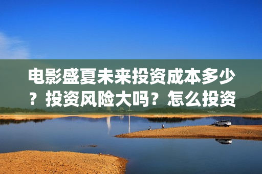 电影盛夏未来投资成本多少？投资风险大吗？怎么投资？(盛夏未来 电影简介)