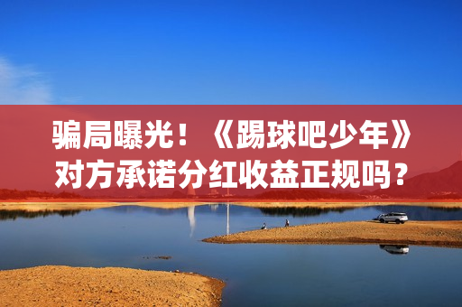 骗局曝光！《踢球吧少年》对方承诺分红收益正规吗？交钱进去被骗怎么办？(网络用语踢是什么意思)