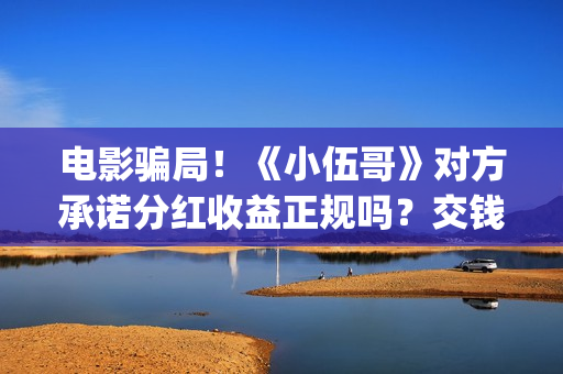 电影骗局！《小伍哥》对方承诺分红收益正规吗？交钱进去被骗怎么办？(电影诈骗视频)