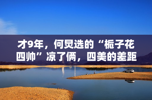 才9年，何炅选的“栀子花四帅”凉了俩，四美的差距竟也这么大了