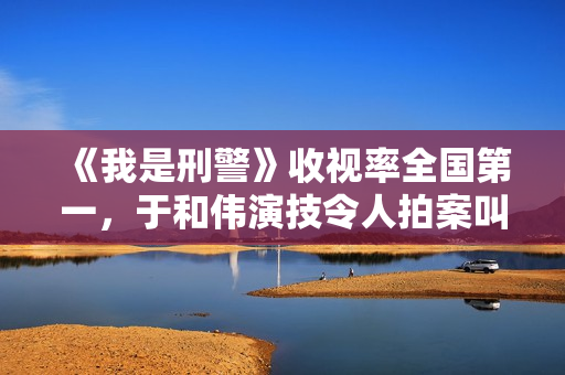 《我是刑警》收视率全国第一，于和伟演技令人拍案叫绝