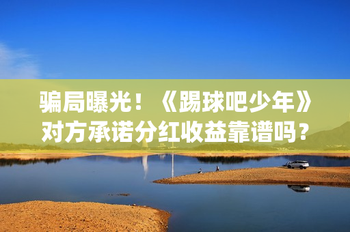 骗局曝光！《踢球吧少年》对方承诺分红收益靠谱吗？已经合同认购可以追回吗？(踢踹要害)