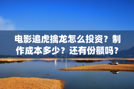 电影追虎擒龙怎么投资？制作成本多少？还有份额吗？(追虎擒龙首映)